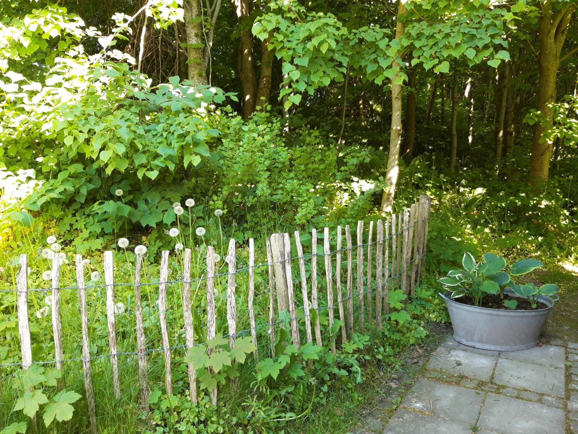 Krogsgaarden B&B Nibe Exterior foto